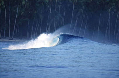 sumatra
